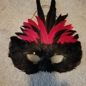 Mardi gras Mask